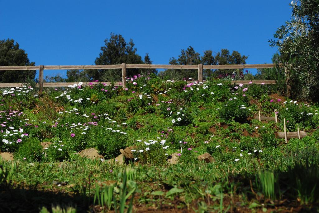 Agriturismo Val Di Nappo Castiglione della Pescaia Ngoại thất bức ảnh