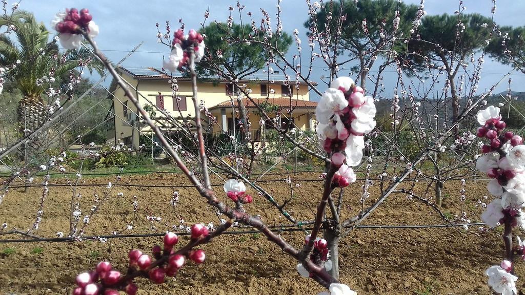 Agriturismo Val Di Nappo Castiglione della Pescaia Ngoại thất bức ảnh